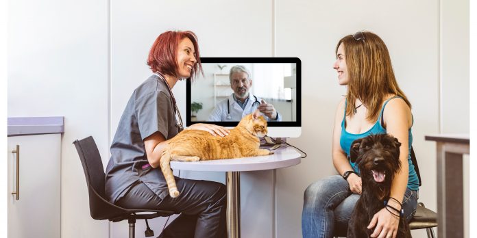 Telemedicina impulsiona a expansão digital da saúde animal Telemedicina impulsiona a expansão digital da saúde animal