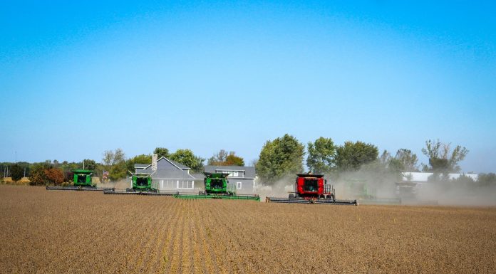 Agronegócio abre portas para os representantes comerciais