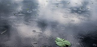 Bueiros entupidos geram doenças com chuvas de verão Bueiros entupidos geram doenças com chuvas de verão