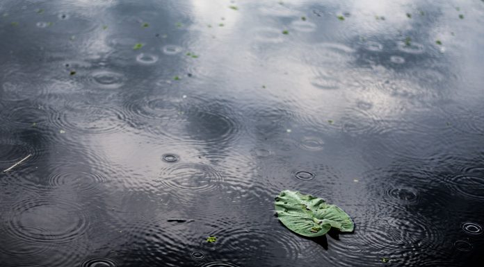 Bueiros entupidos geram doenças com chuvas de verão
