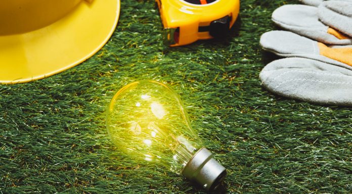 Soluções baseadas na natureza podem criar 20 milhões de empregos