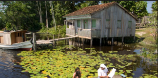 Vaga Lume é uma das vencedoras do prêmio United Earth Amazônia