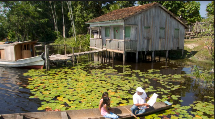 Vaga Lume é uma das vencedoras do prêmio United Earth Amazônia