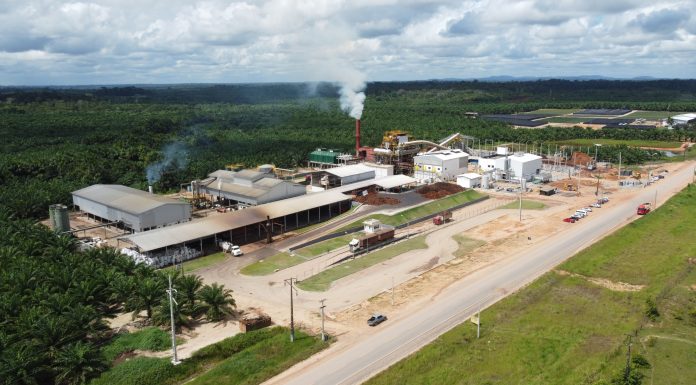 BBF emite debêntures para projetos na região amazônica