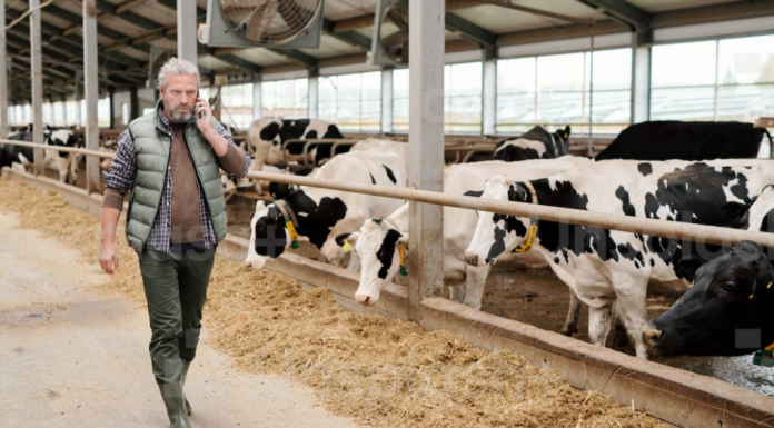 Política de inovação leva mais tecnologia para o campo