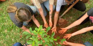 Empresas e ONGs: juntas pelo meio ambiente Empresas e ONGs: juntas pelo meio ambiente