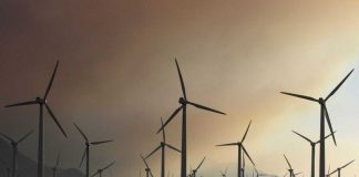 Adecio Vasconcelos é o novo conselheiro da LLYC no Nordeste