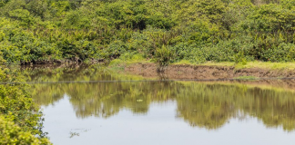 CBH Baía de Guanabara investe em saneamento para garantir acesso à água