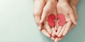 Dia Mundial do Rim reforça cuidados com pacientes mais fragilizados