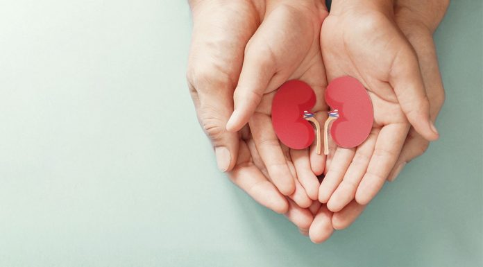 Dia Mundial do Rim reforça cuidados com pacientes mais fragilizados