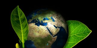 Zero Summit apresenta ideias para futuro livre de emissões de CO2 Zero Summit apresenta ideias para futuro livre de emissões de CO2