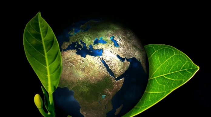Zero Summit apresenta ideias para futuro livre de emissões de CO2