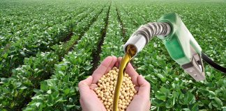 Brasil vai produzir e usar mais biodiesel Brasil vai produzir e usar mais biodiesel