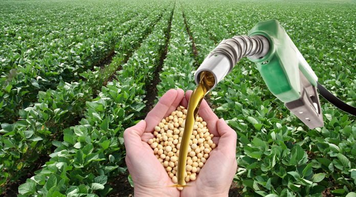 Governo prepara anúncio de mais biodiesel na mistura ao óleo diesel
