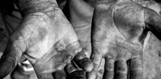 Escravidão: crescem os casos, diz o MPT Escravidão: crescem os casos, diz o MPT