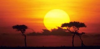 Meta para redução de dióxido de carbono é um compromisso com a qualidade de vida Meta para redução de dióxido de carbono é um compromisso com a qualidade de vida