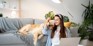 Dupla de amigos cria rede social para pets