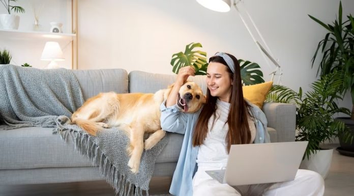 Dupla de amigos cria rede social para pets