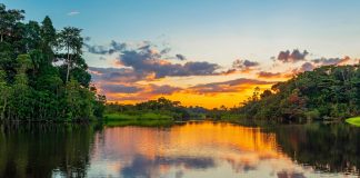 Região amazônica oferece atrações de ecoturismo