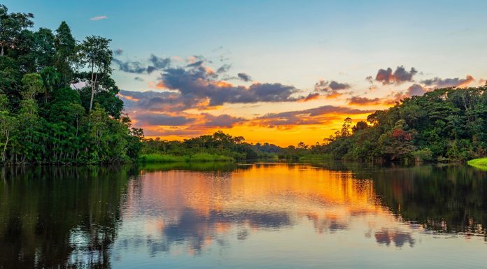 Região amazônica oferece atrações de ecoturismo Região amazônica oferece atrações de ecoturismo