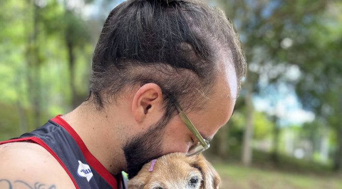 Como as doenças neurodegenerativas afetam os animais?
