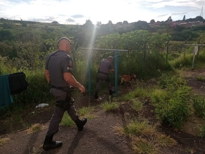 73e6e30a-ec3d-4ec5-81ac-8b408c4fcc77