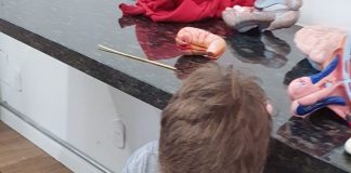 Metodologias ativas são destaque em debate sobre educação