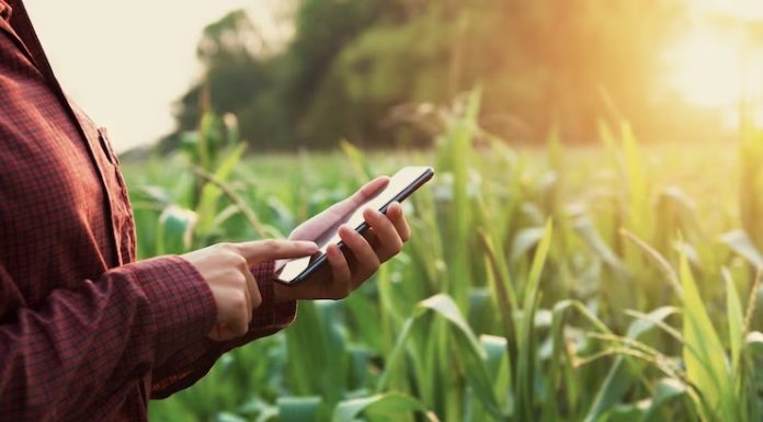 Digitalização do agronegócio cresce no país