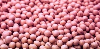 Soja: correção do solo impulsiona indústria química nacional Soja: correção do solo impulsiona indústria química nacional