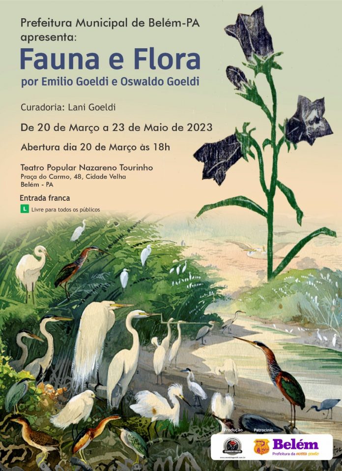 Goeldi: exposição Fauna e Flora Brasileira retorna a Belém-PA a partir de 20/03