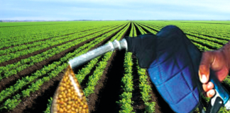 Biocombustível: frente parlamentar quer que governo expanda produção de biodiesel