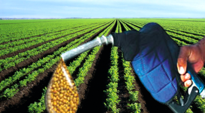 Biocombustível: frente parlamentar quer que governo expanda produção de biodiesel