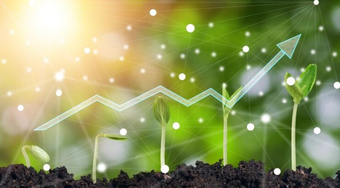 FGV-Ibre: PIB do agronegócio deve chegar a 8% em 2023