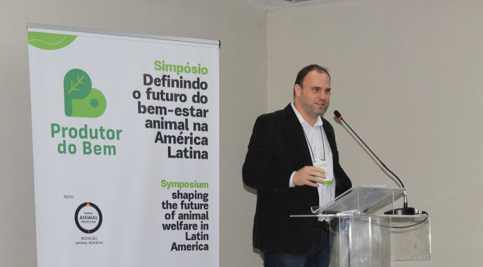 Startup brasileira lança certificação em bem-estar de frangos na América