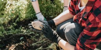 Fertilizantes especiais: carbonato de potássio é peça-chave Fertilizantes especiais: carbonato de potássio é peça-chave