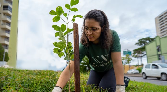 Nova Acrópole promove no Dia da Terra reflexões sobre a biodiversidade humana