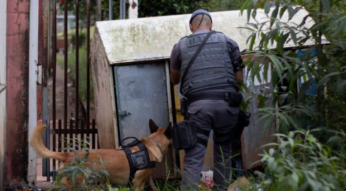 Botucatu: Operação das Forças de Segurança resulta em prisões diversas e apreensões de armas e drogas