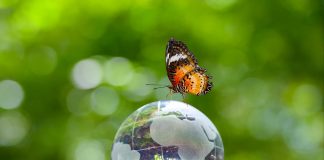 Dia da Terra pede soluções no combate a mudanças climáticas