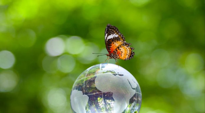 Dia da Terra pede soluções no combate a mudanças climáticas