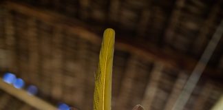 Abril Indígena chama a atenção para os desafios das mulheres