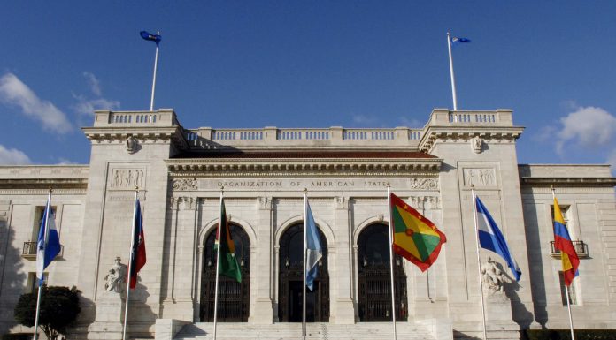 Instituto Não Aceito Corrupção passa a integrar a OEA