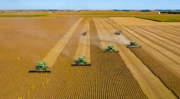 Economia verde impulsiona inovação no agronegócio brasileiro
