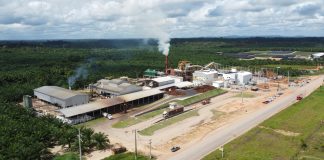 Grupo BBF acelera a transformação digital de suas operações