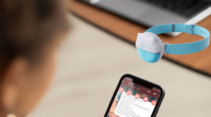 Empresa brasileira usa tecnologia 4G para rastrear pets