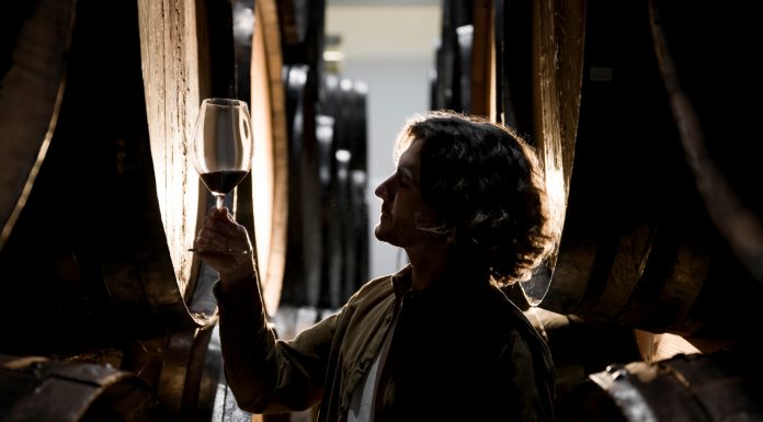 Produção nacional de vinho é movida pelo aumento do consumo Produção nacional de vinho é movida pelo aumento do consumo