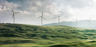 Inovação pode levar a um crescimento econômico sustentável