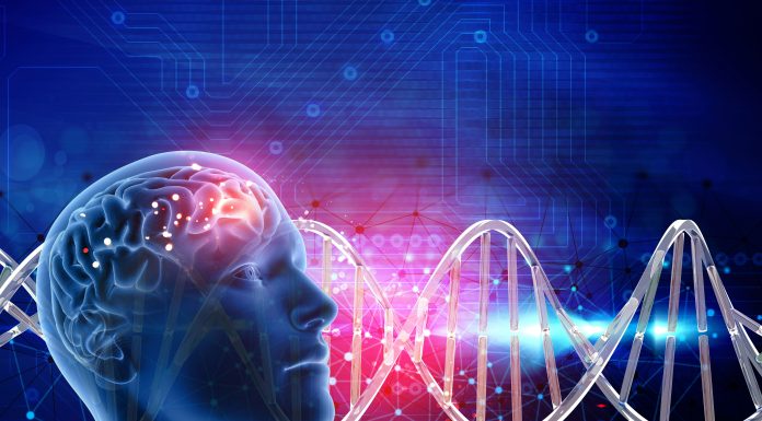 Neurociência pode potencializar as vendas, diz trainer