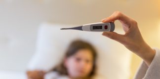 Febre maculosa: doença alerta para dedetização de carrapatos Febre maculosa: doença alerta para dedetização de carrapatos