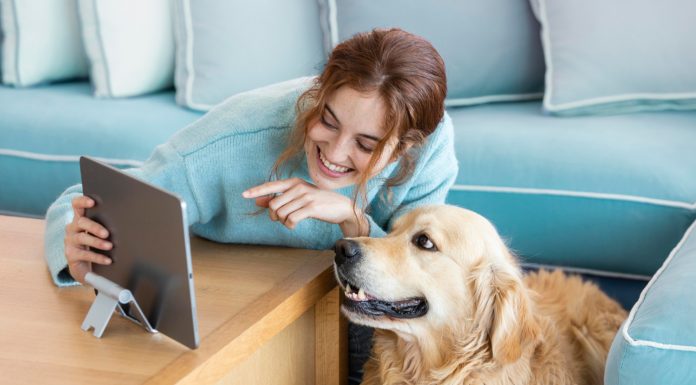 Pet Tech investe em rede social, premiação e associação Pet Tech investe em rede social, premiação e associação