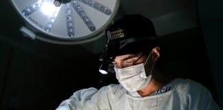 Pacientes de cirurgia plástica buscam informação na internet Pacientes de cirurgia plástica buscam informação na internet